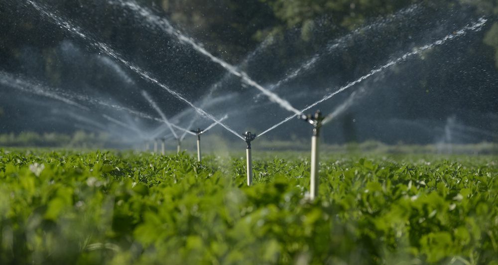Very Nice Irrigation And Sprinkles — JLM Contracting Services Pty Ltd in Jabiru, NT