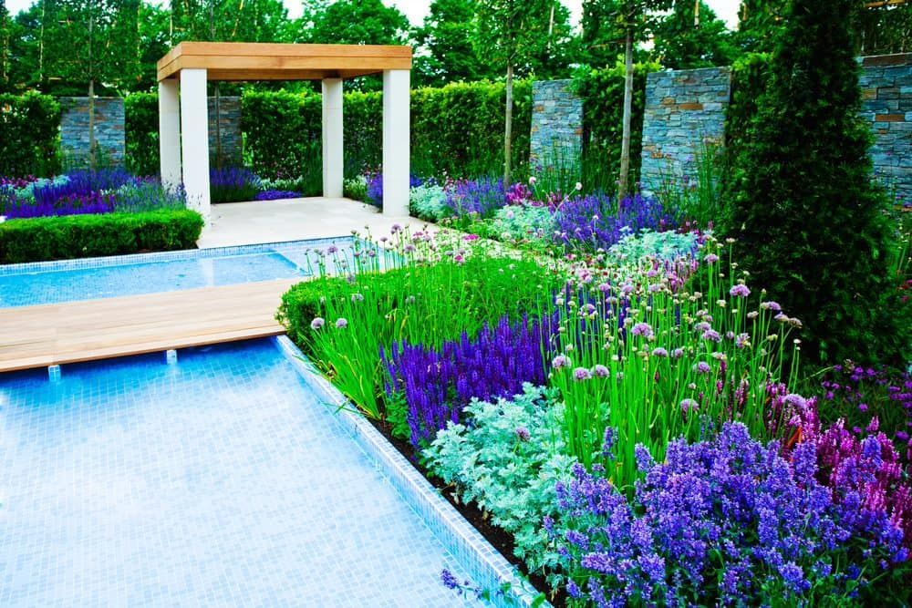 Garden with water feature, purple and green flowers, and a pergola.