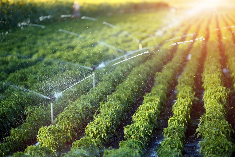 Irrigation System — JLM Contracting Services Pty Ltd in Virginia, NT