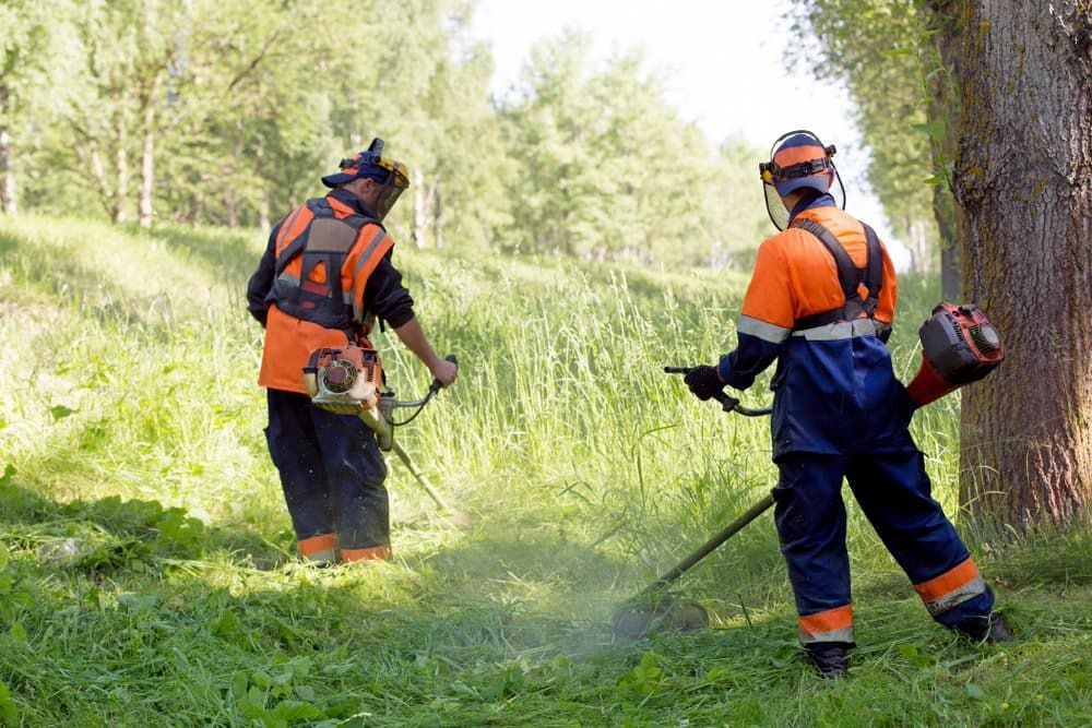 Two Landscapers Men Workers — JLM Contracting Services Pty Ltd in Katherine, NT
