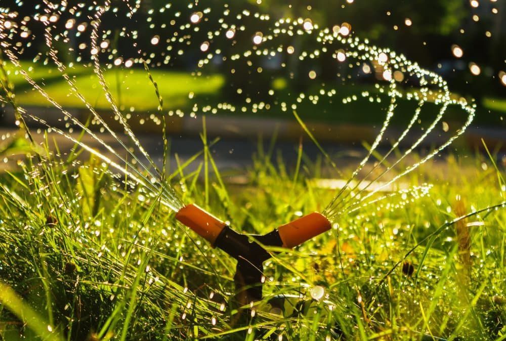 Lawn sprinkler spraying water over green grass in a sunny garden.