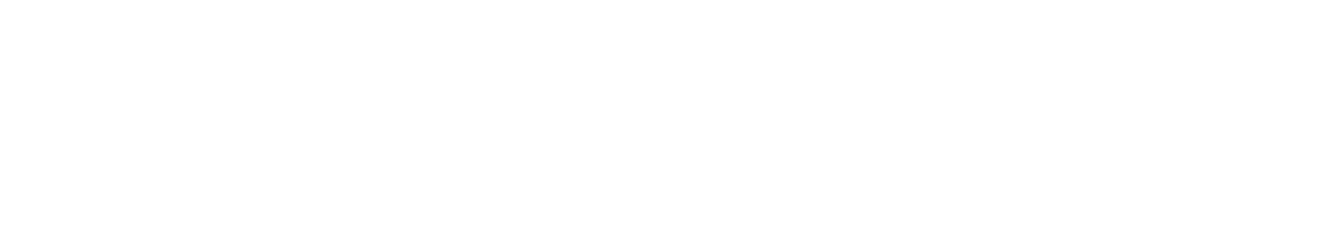 Linea orizzontale nera sottile centrata su sfondo bianco