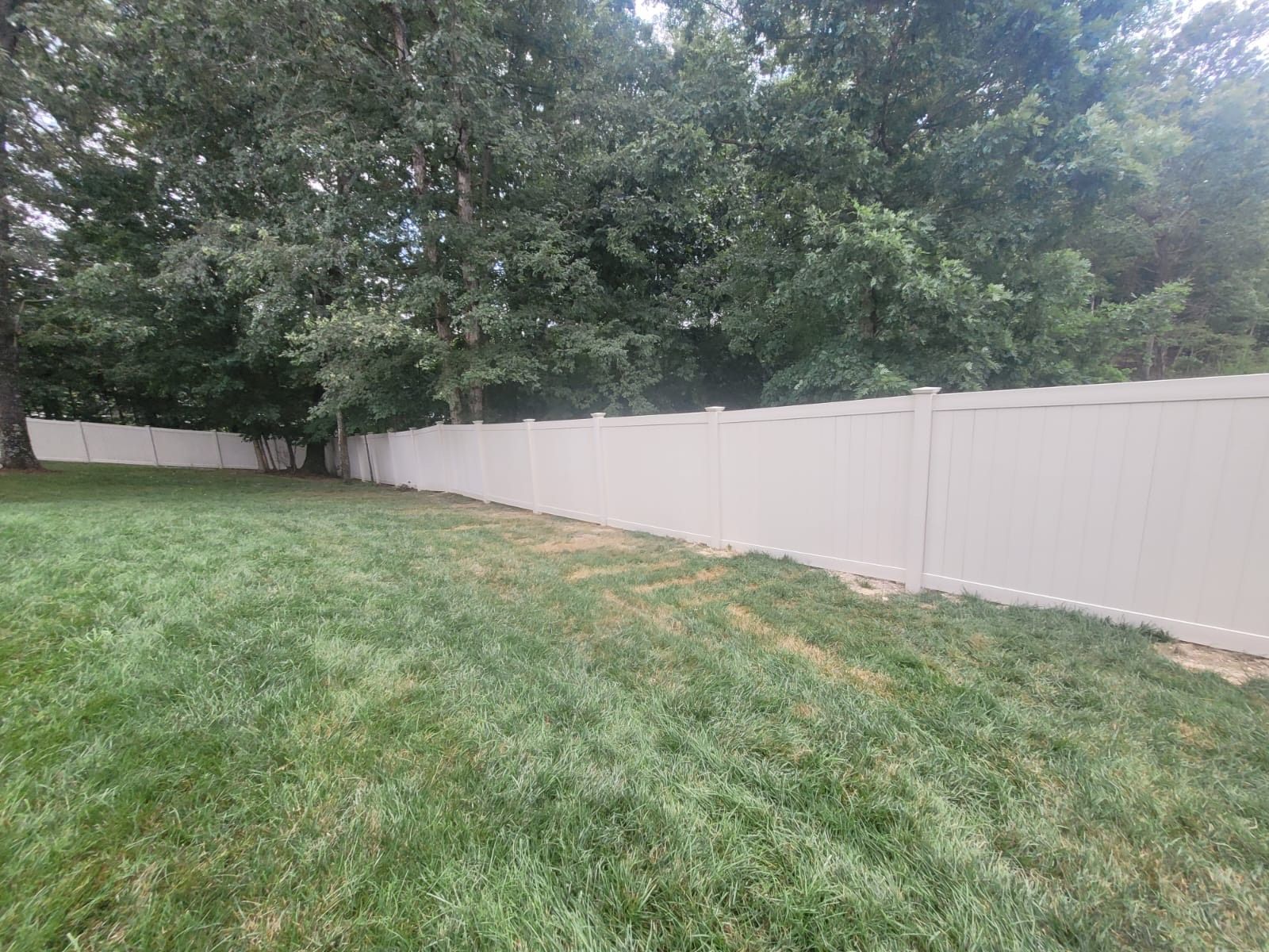Grassy backyard beside a long white privacy fence and tall trees under an overcast sky