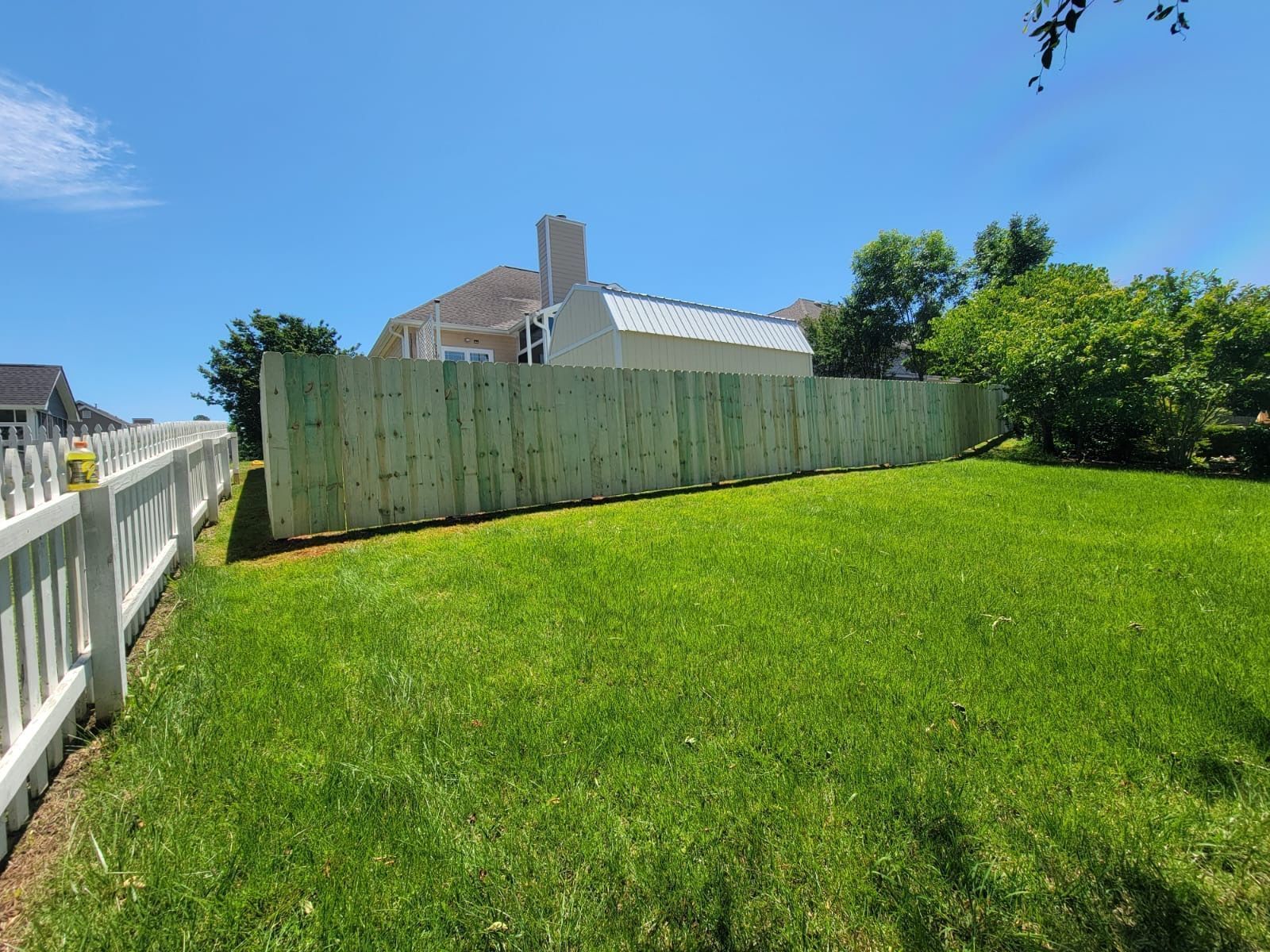 Backyard with green lawn, white fence, wooden privacy fence, and house under a clear blue sky