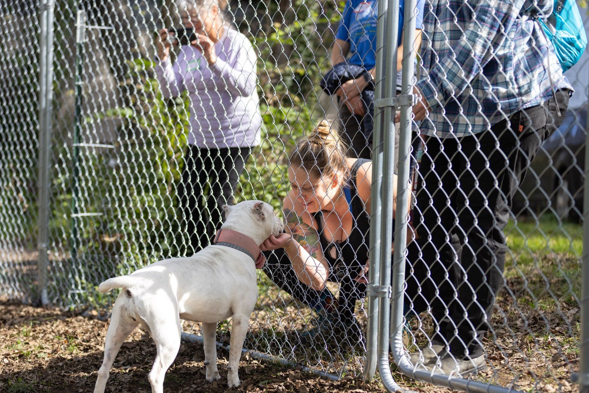 Woman kneels to pet a white dog at a chain-link fence while people stand nearby outdoors.