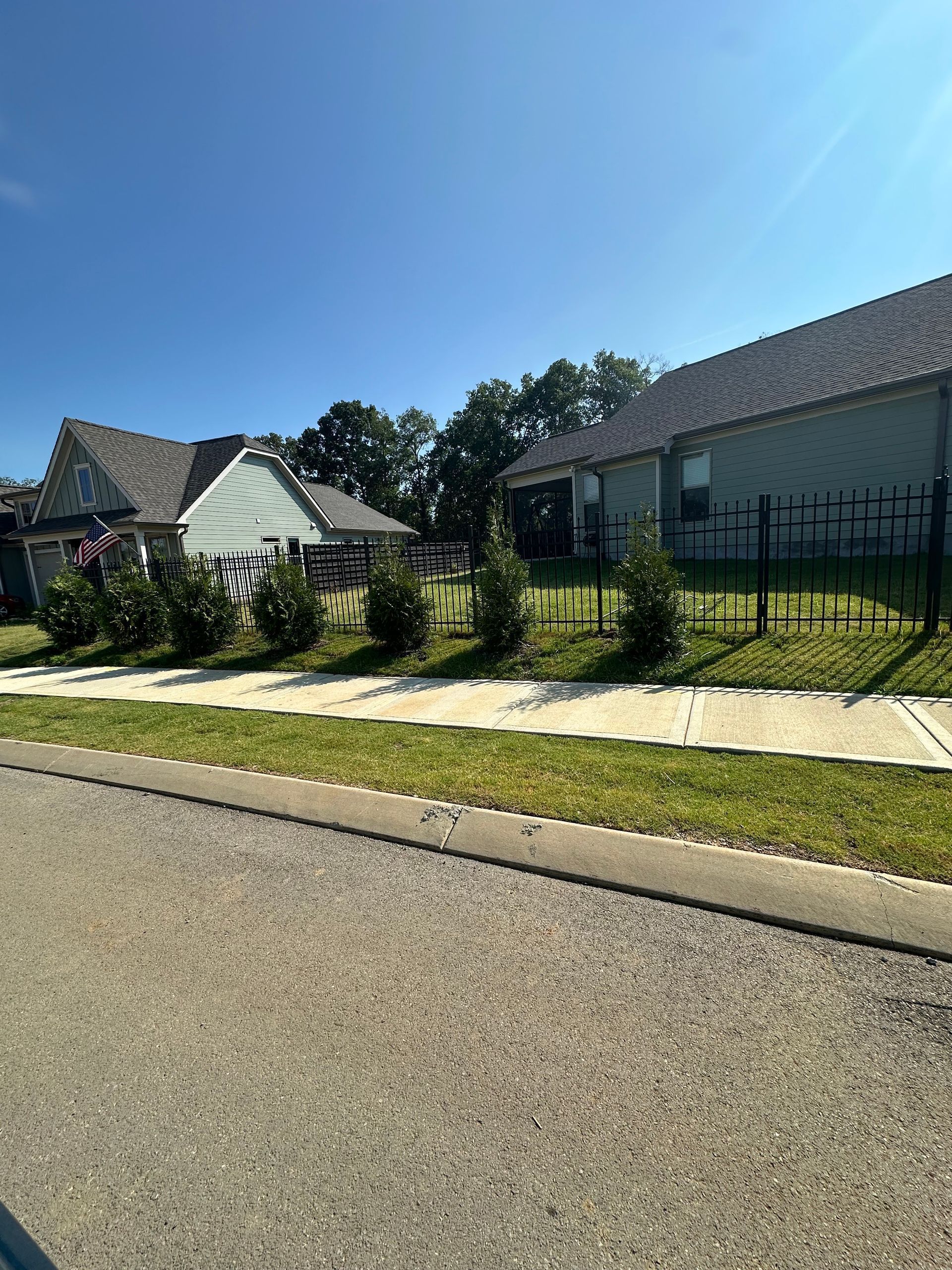 Quiet suburban street with modern houses, manicured hedges, and a bright blue sky.