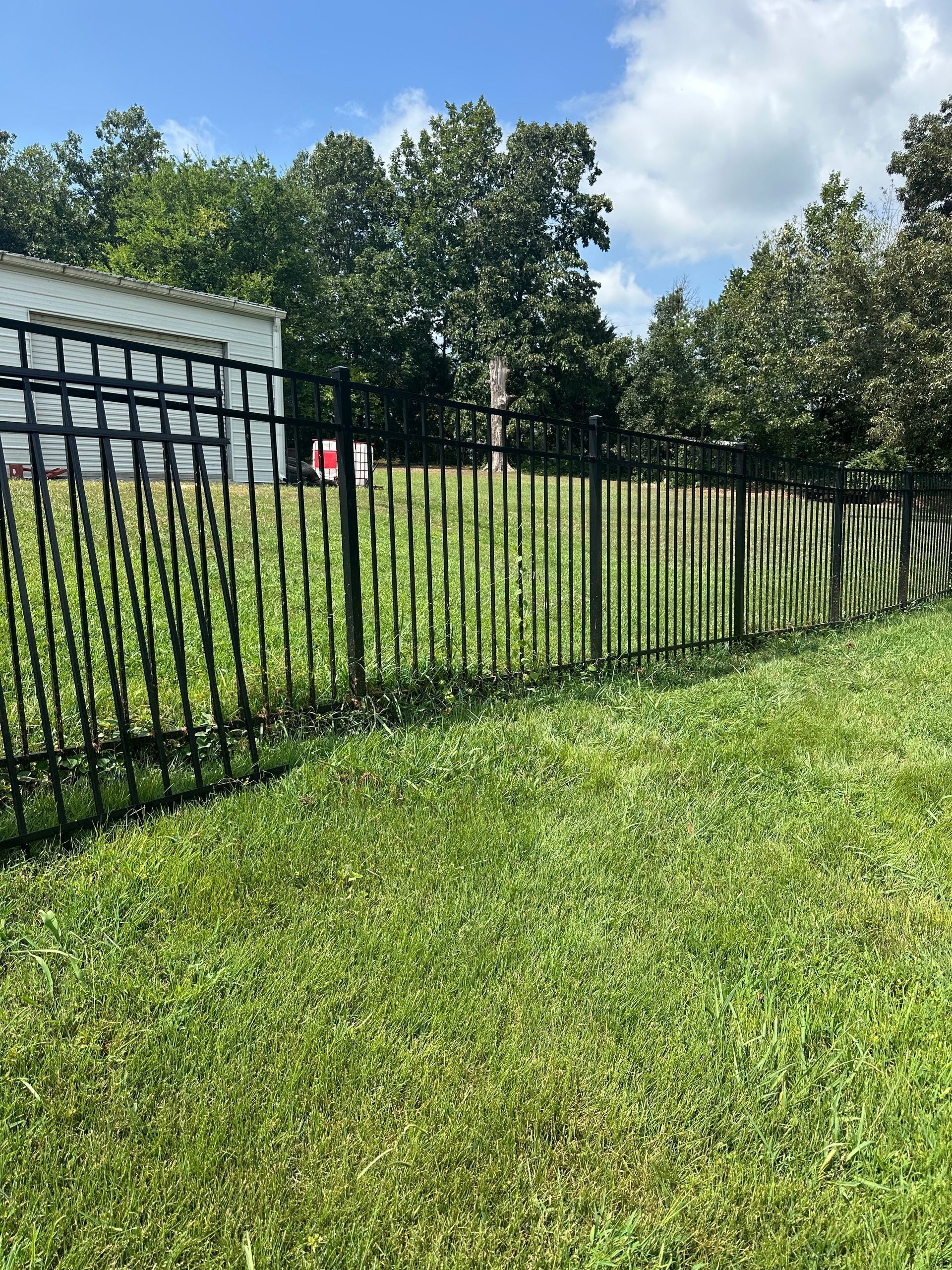 Black iron fence beside a grassy lawn, with trees and a glass building under a blue sky