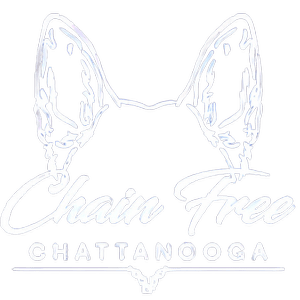White logo with butterfly wings and the words “hair free” and “CHATTANOOGA” underneath.
