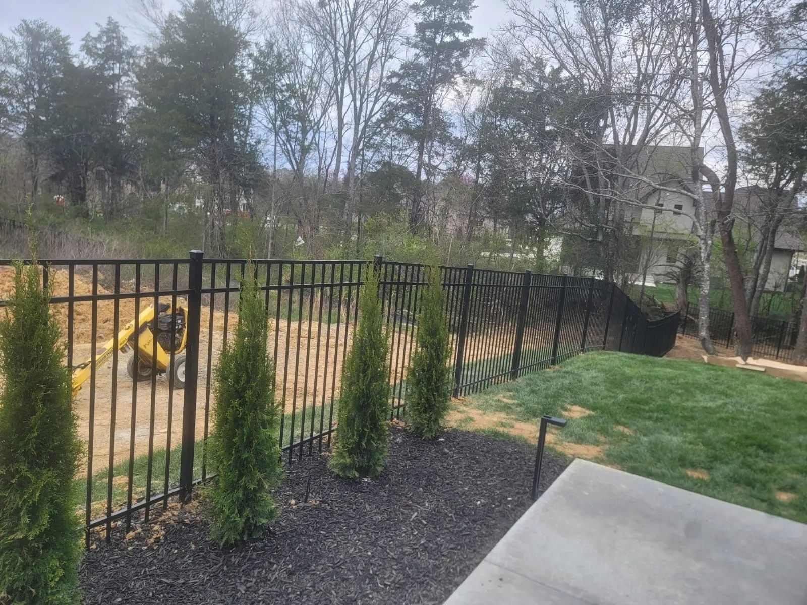 Black metal fence with young evergreens beside a backyard lawn and yellow playground equipment in the distance