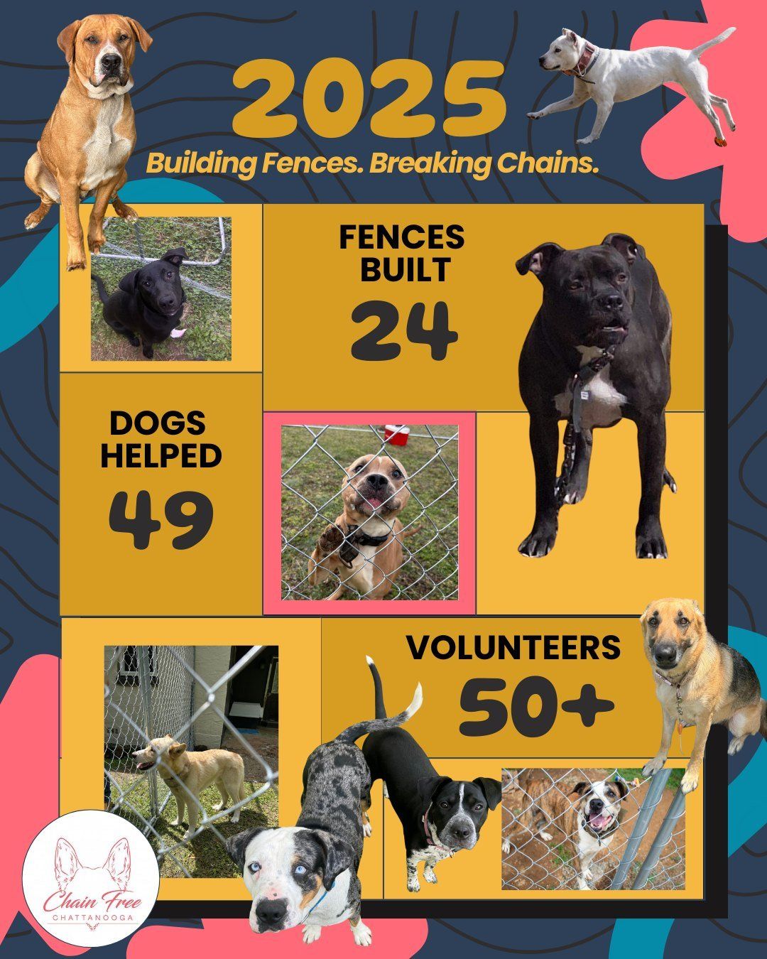 2025 rescue-dog fundraiser poster with 24 fences built, 49 dogs helped, and 50+ volunteers.