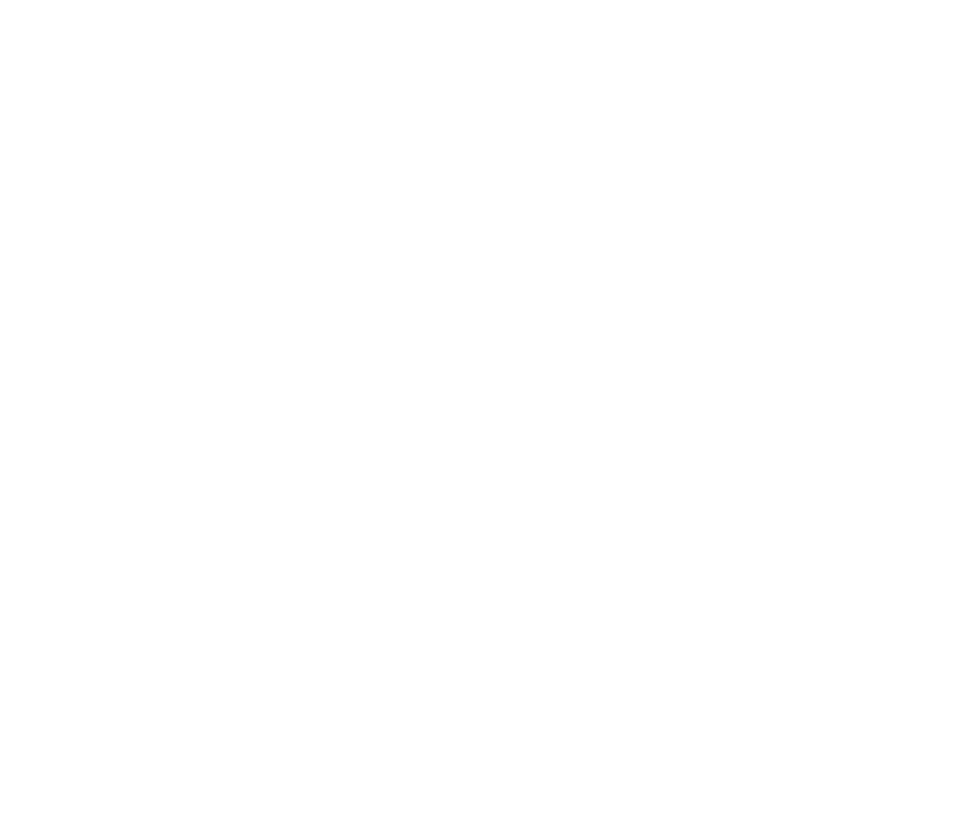 logo-image