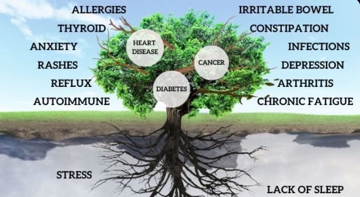 A diagram of a tree with roots showing various diseases