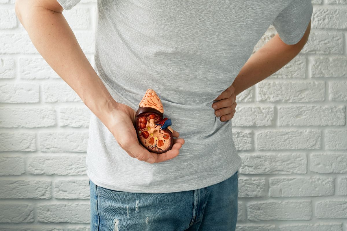 Nefrolitotomia percutânea (NLPC): como funciona e como é a recuperação?