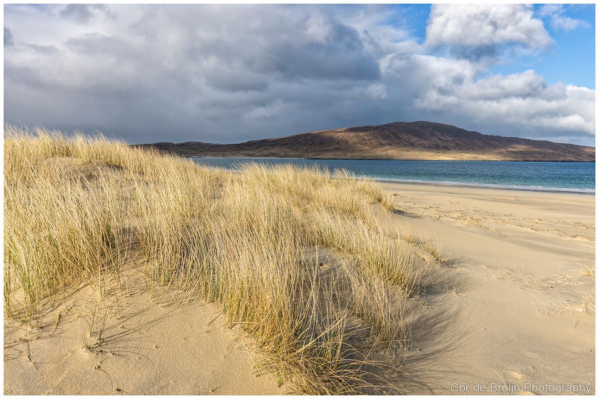Sandy beach with tall, tan grass in the foreground, ocean and distant hill under cloudy sky.