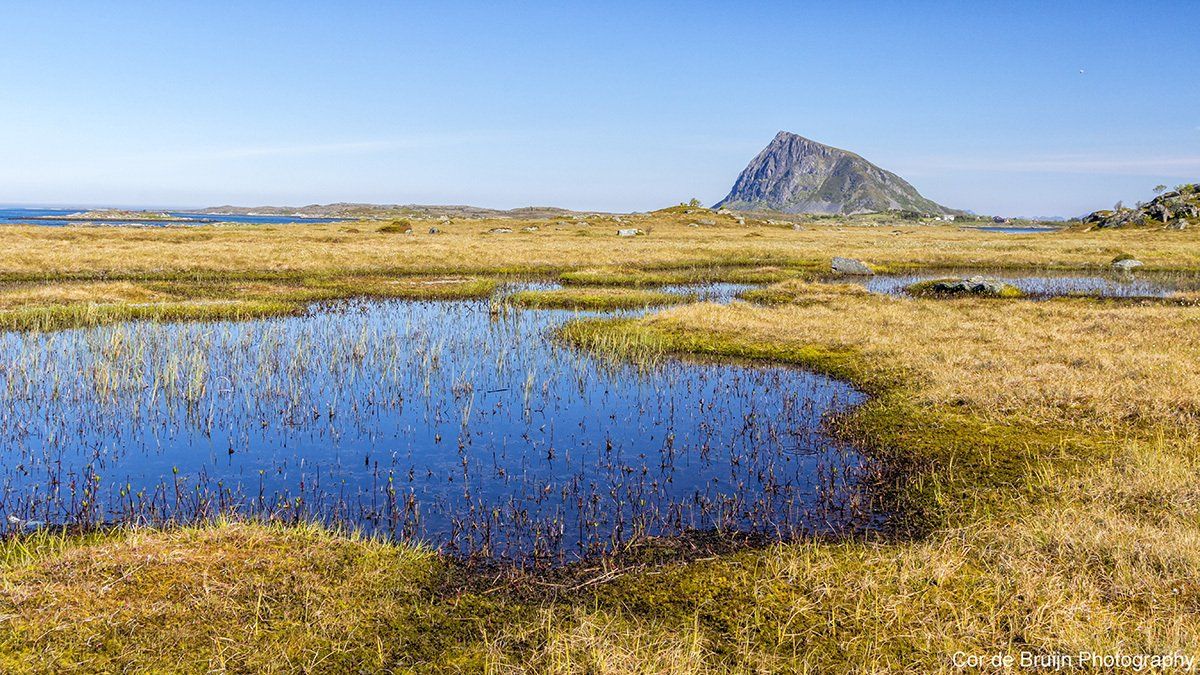 Wetland with brown grass, reflecting blue sky and a rocky mountain.