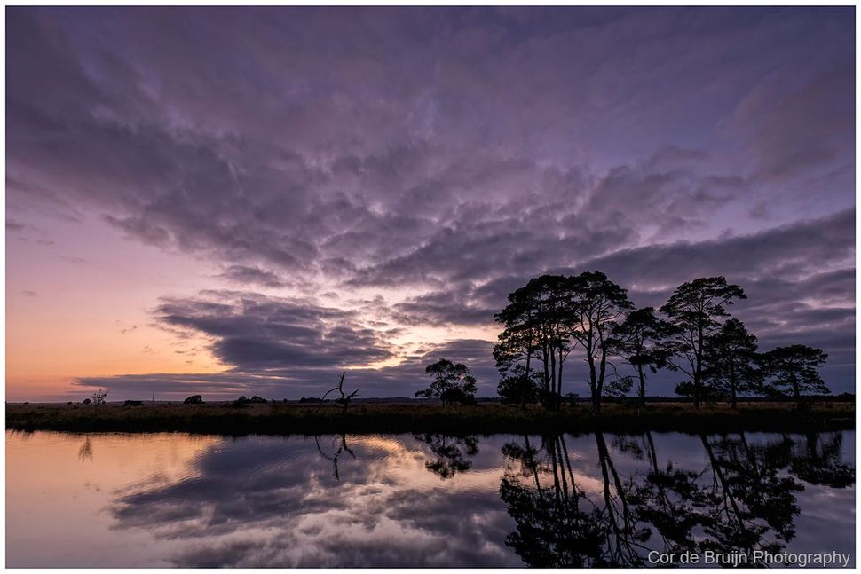 Purple sunset over a calm lake, with silhouetted trees and their reflections in still water.