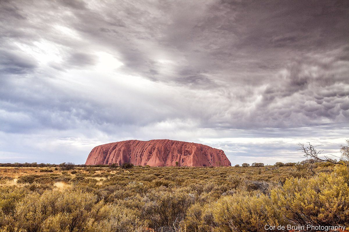 Uluru (Ayers Rock) in Australia. Red rock formation amidst scrubland, under a cloudy sky.