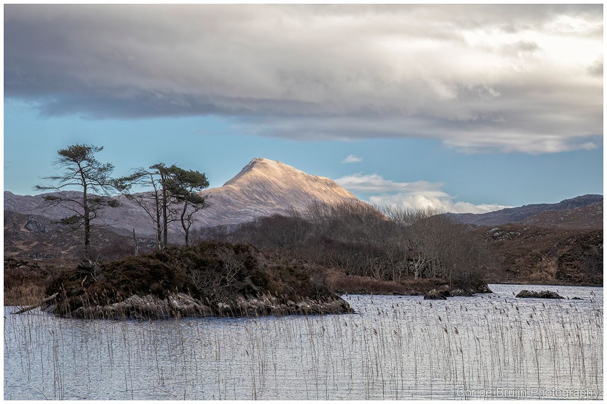 Mountain over a lake with bare trees under a cloudy sky