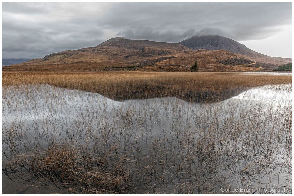 A cloudy mountain reflected in a calm marsh with brown reeds and shallow water.