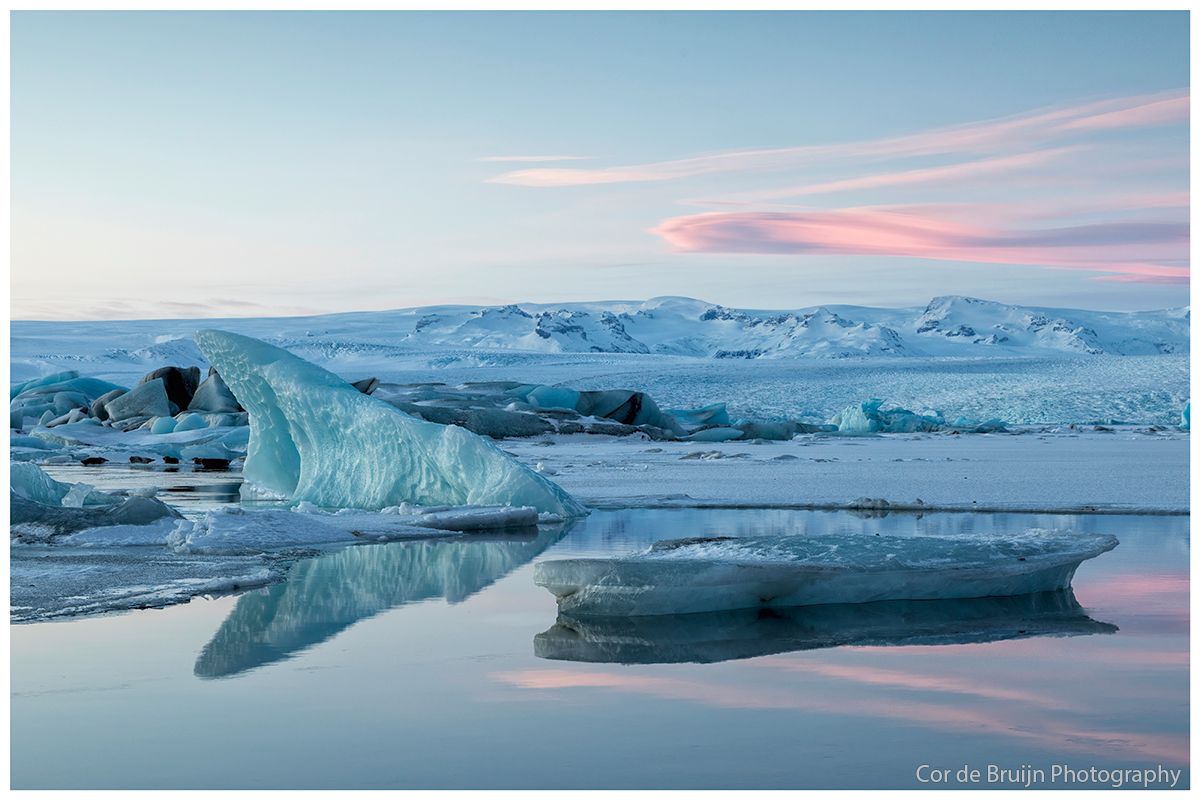 Icebergs floating on calm water, reflected in the surface; pale blue and pink sky in the background.