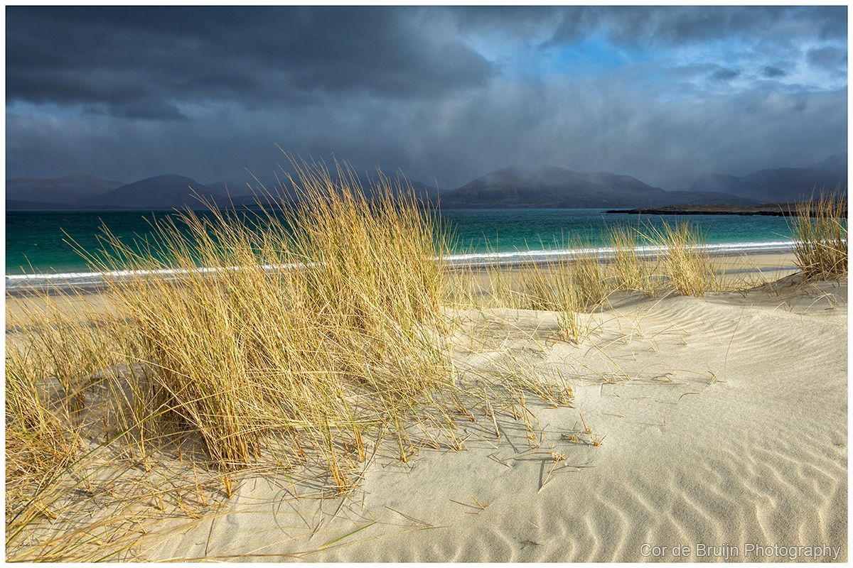 Windblown dune grass on a sandy beach with turquoise water and dark storm clouds