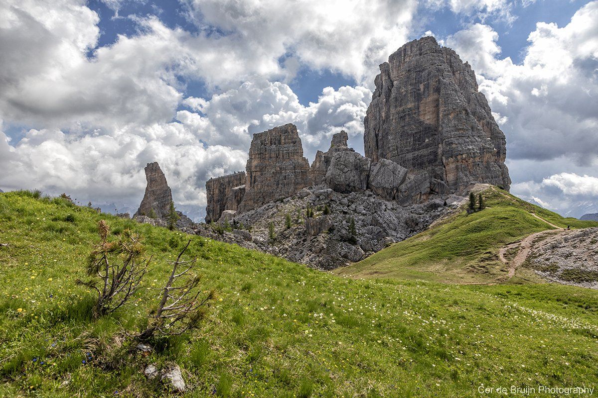 Rocky mountain peaks rise above a green meadow under a cloudy sky.