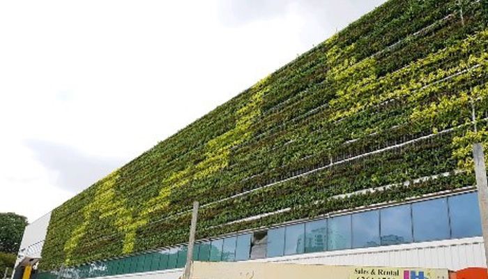 A large building with a green wall on the side of it.