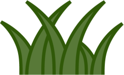 A cartoon drawing of a bunch of green grass on a white background.