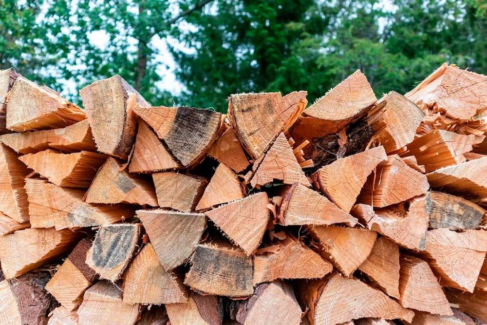 Del's Firewood & Palm Tree Service, Firewood Services, Firewood Sold Near Me, Mobile Firewood Splitting, Firewood Splitting Near Me, Wood Splitting Services, Wood Splitting Near Me, Fallbrook Firewood Services, Rainbow Firewood Services, Temecula Firewood Services, Murrieta Firewood Services, Lake Village Firewood Services, Bonsall Firewood Services, Deluz Firewood Services, Oceanside Firewood Services, Vista Firewood Services, San Marcos Firewood Services, Pala Mesa Firewood Services, Escondido Firewood Services, Palm Tree Services, Palm Tree Services Near Me, Fallbrook Palm Tree Services, Rainbow Palm Tree Services, Temecula Palm Tree Services, Murrieta Palm Tree Services, Lake Village Palm Tree Services, Bonsall Palm Tree Services, Deluz Palm Tree Services, Oceanside Palm Tree Services, Vista Palm Tree Services, San Marcos Palm Tree Services, Pala Mesa Palm Tree Services, Escondido Palm Tree Services, Palm Tree Removal, Palm Tree Removal Near Me, Palm Tree Trimming, Palm Tree Trimming Near Me, Palm Tree Planting, Palm Tree Installation, Tree Company Near Me, Tree Services Near Me, Fallbrook Tree Services, Rainbow Tree Services, Temecula Tree Services, Murrieta Tree Services, Lake Village Tree Services, Bonsall Tree Services, Deluz Tree Services, Oceanside Tree Services, Vista Tree Services, San Marcos Tree Services, Pala Mesa Tree Services, Escondido Tree Services, Tree Trimming, Tree Trimming Near Me, Stump Grinding, Stump Grinding Near Me, Tree Chipping, Tree Chipping Near Me, Tree Planting, Tree Installation, Landscaping, Fallbrook Landscaping, Rainbow Landscaping, Temecula Landscaping, Murrieta Landscaping, Lake Village Landscaping, Bonsall Landscaping, Deluz Landscaping, Oceanside Landscaping, Vista Landscaping, San Marcos Landscaping, Pala Mesa Landscaping, Escondido Landscaping, Landscaping Services Near Me, Landscaping Company Near Me, Irrigation Services, Irrigation Installation, Sprinkler Services, Sprinkler Installation, Sod Installation, Tractor Mowing, Tractor Mowing Near Me, Fallbrook Tractor Mowing, Rainbow Tractor Mowing, Temecula Tractor Mowing, Murrieta Tractor Mowing, Lake Village Tractor Mowing, Bonsall Tractor Mowing, Deluz Tractor Mowing, Oceanside Tractor Mowing, Vista Tractor Mowing, San Marcos Tractor Mowing, Pala Mesa Tractor Mowing, Escondido Tractor Mowing, Yard Clean Up, Monthly Yard Clean Up, Weekly Yard Clean Up, Bi-weekly Yard Clean Up, One Time Yard Clean Up, Bush Trimming, Bush Installation, Shrub Trimming, Shrub Installation, Seeding and Aeration, Flower Planting, Fallbrook CA, Rainbow CA, Temecula CA, Paloma Del Sol Temecula CA, Murrieta CA, Lake Village CA, Bonsall CA, Hidden Meadows CA, Deluz CA, Oceanside CA, Morro Hills Oceanside CA, Fire Mountain Oceanside CA, South Oceanside Oceanside CA, East Side Capistrano Oceanside CA, Townsite Oceanside CA, Guajome Oceanside CA, Vista CA, San Marcos CA, Pala Mesa CA, Escondido CA, junk removal, junk removal near me, demolition services, demolition services near me