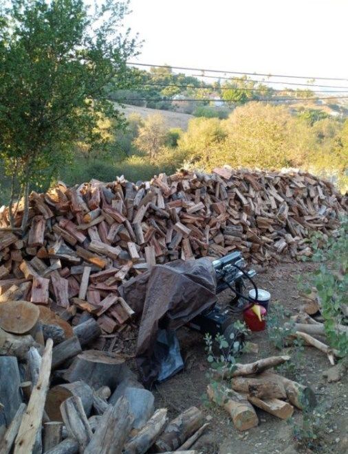 Del's Firewood & Palm Tree Service, Firewood Services, Firewood Sold Near Me, Mobile Firewood Splitting, Firewood Splitting Near Me, Wood Splitting Services, Wood Splitting Near Me, Fallbrook Firewood Services, Rainbow Firewood Services, Temecula Firewood Services, Murrieta Firewood Services, Lake Village Firewood Services, Bonsall Firewood Services, Deluz Firewood Services, Oceanside Firewood Services, Vista Firewood Services, San Marcos Firewood Services, Pala Mesa Firewood Services, Escondido Firewood Services, Palm Tree Services, Palm Tree Services Near Me, Fallbrook Palm Tree Services, Rainbow Palm Tree Services, Temecula Palm Tree Services, Murrieta Palm Tree Services, Lake Village Palm Tree Services, Bonsall Palm Tree Services, Deluz Palm Tree Services, Oceanside Palm Tree Services, Vista Palm Tree Services, San Marcos Palm Tree Services, Pala Mesa Palm Tree Services, Escondido Palm Tree Services, Palm Tree Removal, Palm Tree Removal Near Me, Palm Tree Trimming, Palm Tree Trimming Near Me, Palm Tree Planting, Palm Tree Installation, Tree Company Near Me, Tree Services Near Me, Fallbrook Tree Services, Rainbow Tree Services, Temecula Tree Services, Murrieta Tree Services, Lake Village Tree Services, Bonsall Tree Services, Deluz Tree Services, Oceanside Tree Services, Vista Tree Services, San Marcos Tree Services, Pala Mesa Tree Services, Escondido Tree Services, Tree Trimming, Tree Trimming Near Me, Stump Grinding, Stump Grinding Near Me, Tree Chipping, Tree Chipping Near Me, Tree Planting, Tree Installation, Landscaping, Fallbrook Landscaping, Rainbow Landscaping, Temecula Landscaping, Murrieta Landscaping, Lake Village Landscaping, Bonsall Landscaping, Deluz Landscaping, Oceanside Landscaping, Vista Landscaping, San Marcos Landscaping, Pala Mesa Landscaping, Escondido Landscaping, Landscaping Services Near Me, Landscaping Company Near Me, Irrigation Services, Irrigation Installation, Sprinkler Services, Sprinkler Installation, Sod Installation, Tractor Mowing, Tractor Mowing Near Me, Fallbrook Tractor Mowing, Rainbow Tractor Mowing, Temecula Tractor Mowing, Murrieta Tractor Mowing, Lake Village Tractor Mowing, Bonsall Tractor Mowing, Deluz Tractor Mowing, Oceanside Tractor Mowing, Vista Tractor Mowing, San Marcos Tractor Mowing, Pala Mesa Tractor Mowing, Escondido Tractor Mowing, Yard Clean Up, Monthly Yard Clean Up, Weekly Yard Clean Up, Bi-weekly Yard Clean Up, One Time Yard Clean Up, Bush Trimming, Bush Installation, Shrub Trimming, Shrub Installation, Seeding and Aeration, Flower Planting, Fallbrook CA, Rainbow CA, Temecula CA, Paloma Del Sol Temecula CA, Murrieta CA, Lake Village CA, Bonsall CA, Hidden Meadows CA, Deluz CA, Oceanside CA, Morro Hills Oceanside CA, Fire Mountain Oceanside CA, South Oceanside Oceanside CA, East Side Capistrano Oceanside CA, Townsite Oceanside CA, Guajome Oceanside CA, Vista CA, San Marcos CA, Pala Mesa CA, Escondido CA, junk removal, junk removal near me, demolition services, demolition services near me