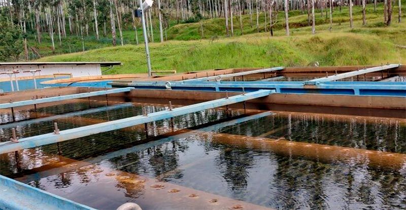 ETA Rio de Peixe