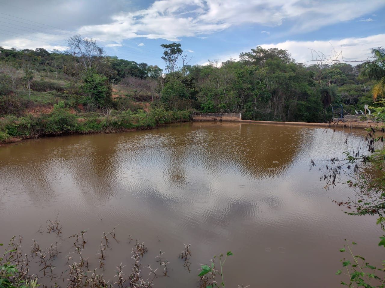 ETA Pureza