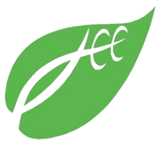 Leaves | Affordable Car Care Llc
