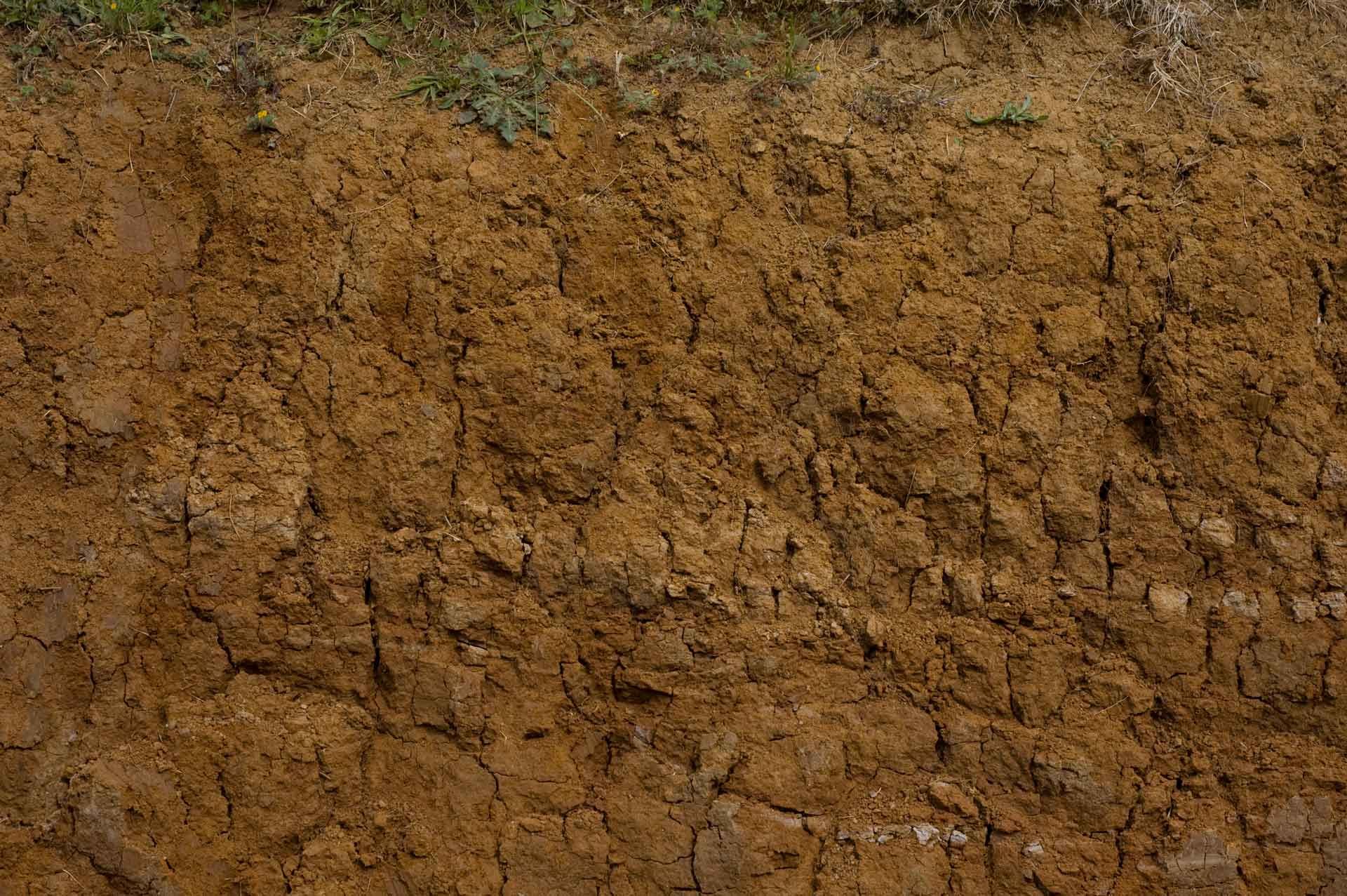 Plain Topsoil — San Bernardino, CA — Dave Henry Trucking