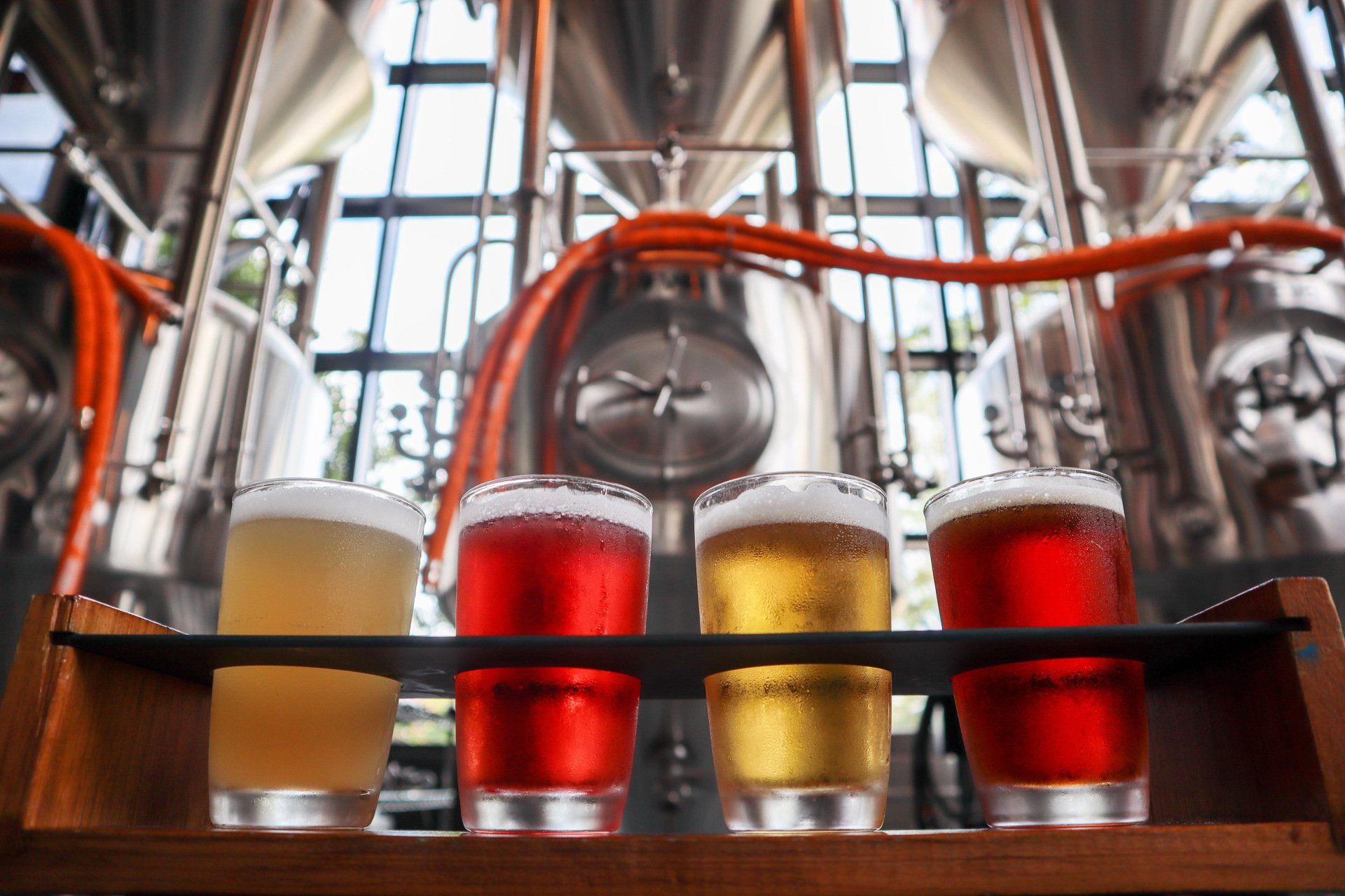 Park Brewing