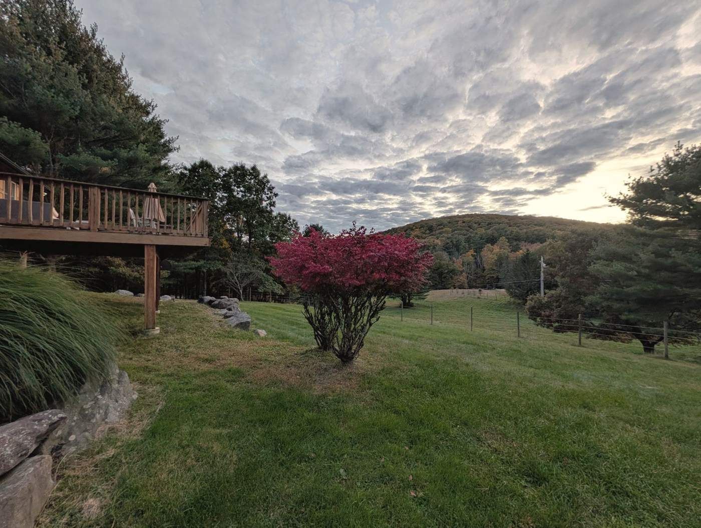 Red burning bush beside the deck under an autumn sky