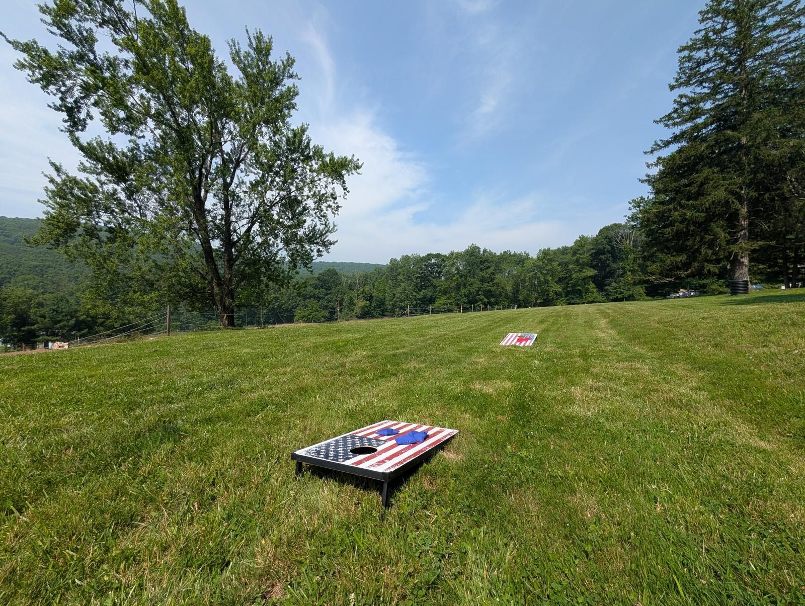 Cornhole boards set up on a wide mown field at the edge of the woods