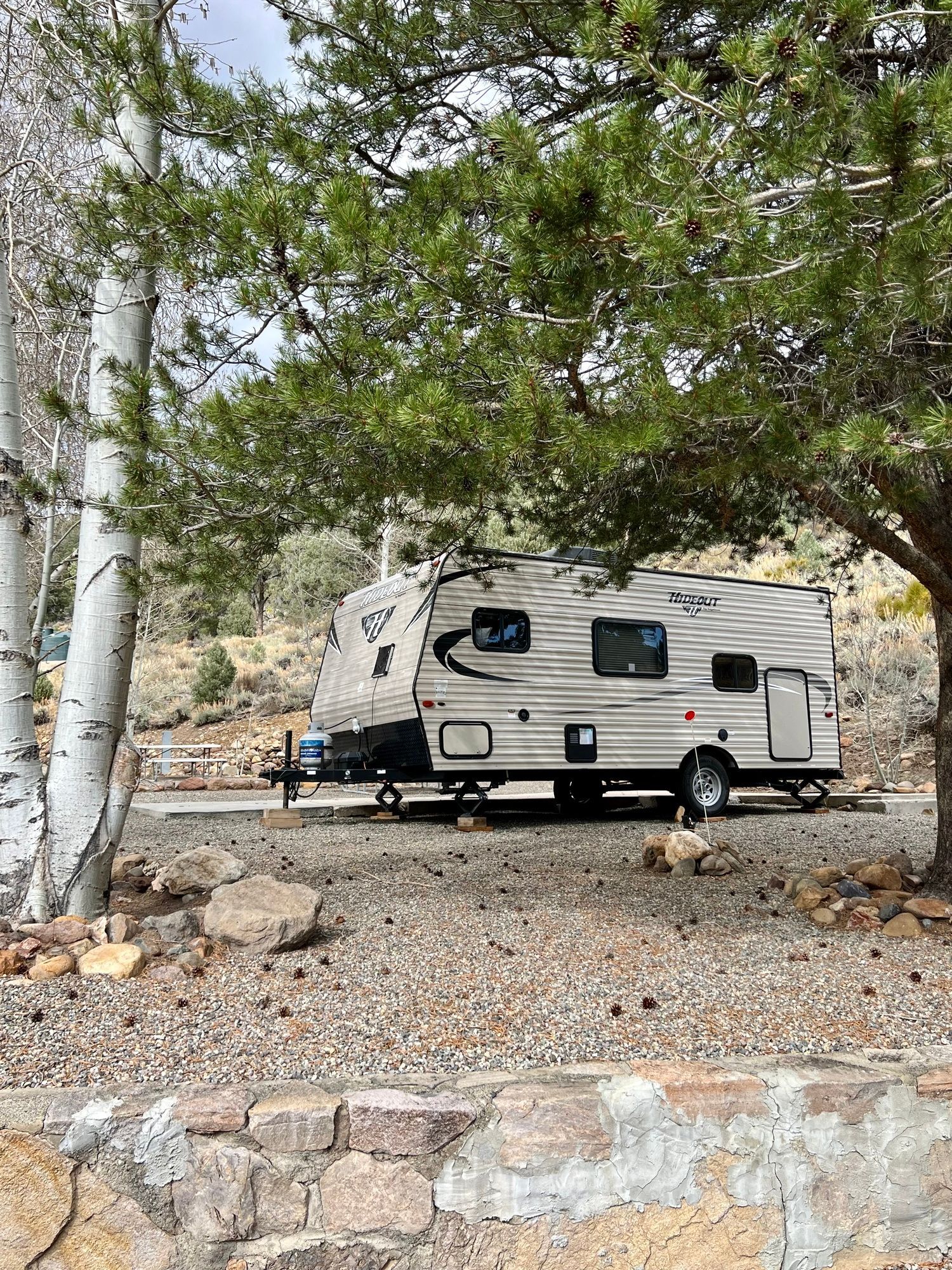 A rv is parked under a tree in a gravel lot.