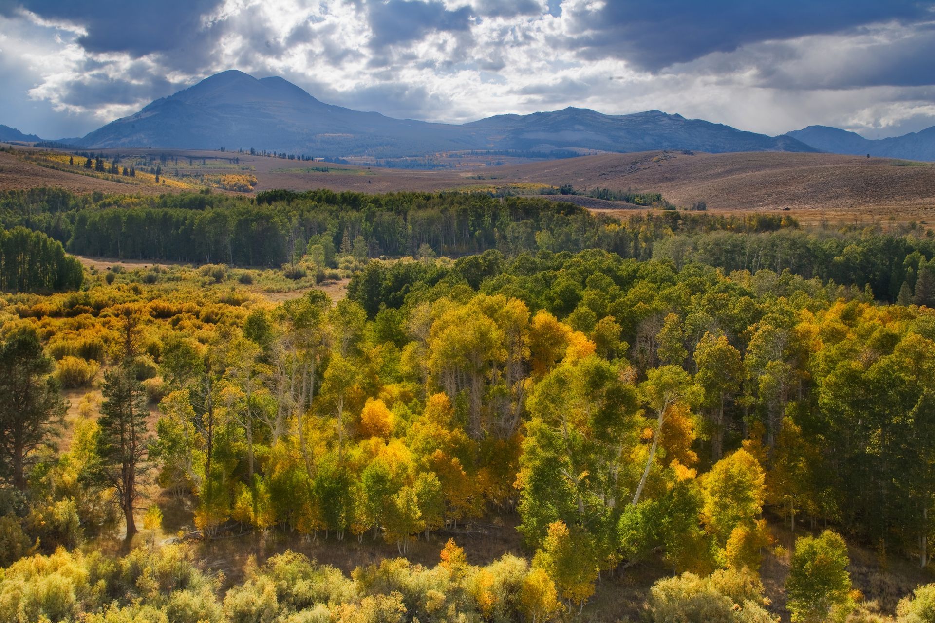 wilderness