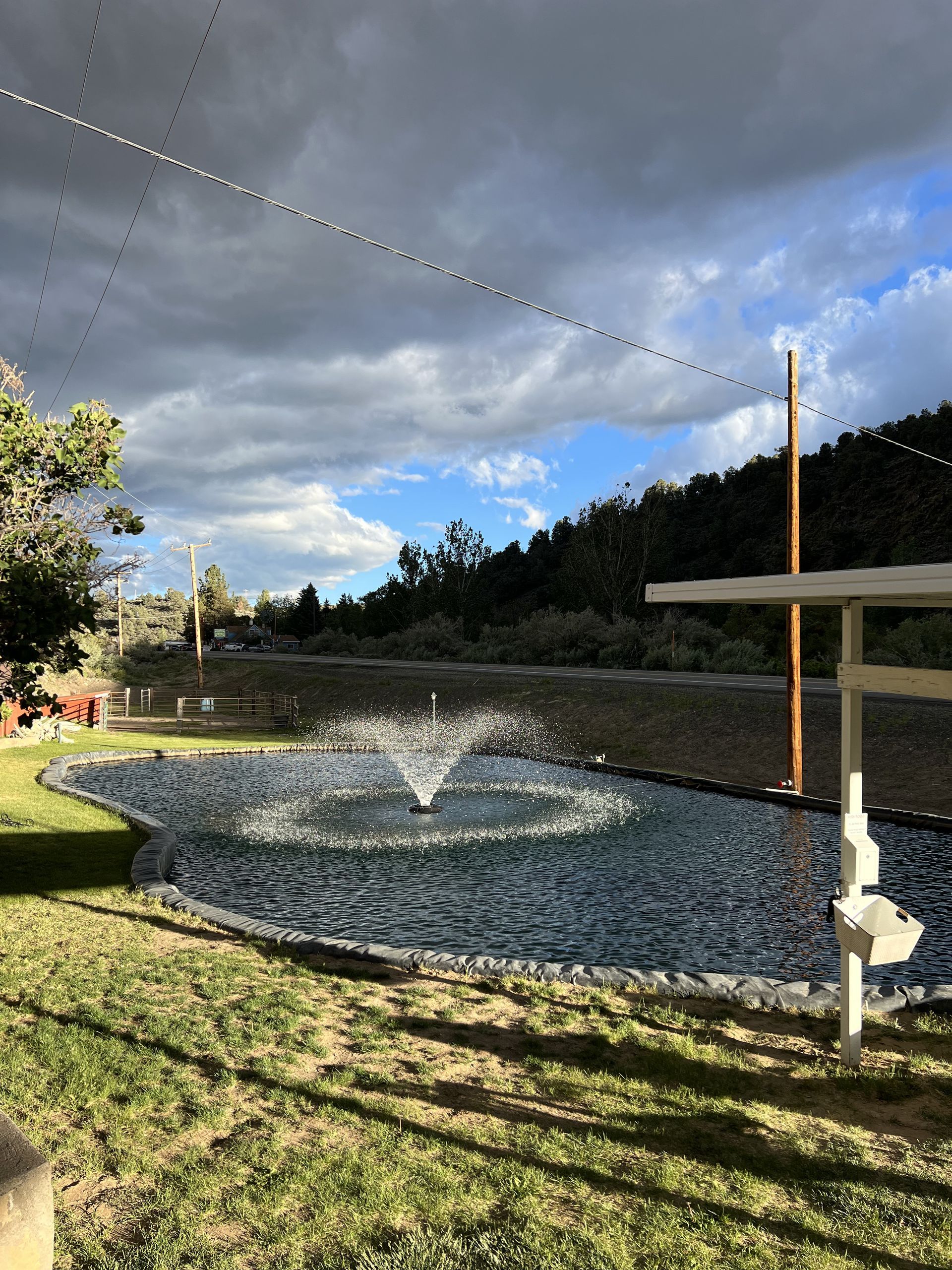 pond-and-fountain