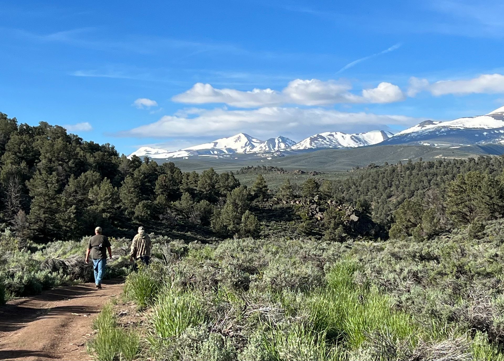 hiking-trail