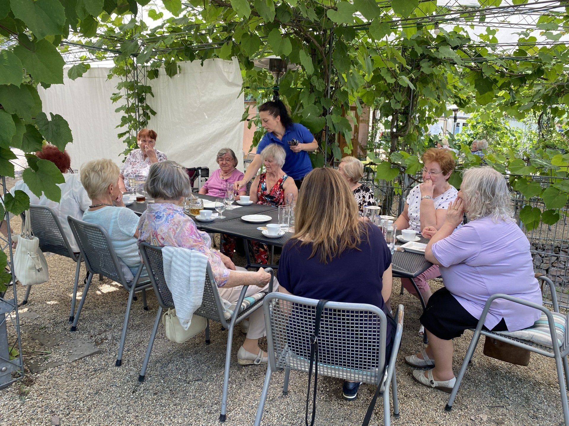 Eine Gruppe von Menschen sitzt im Freien unter Weinreben an einem Tisch. Eine Person bedient sie.