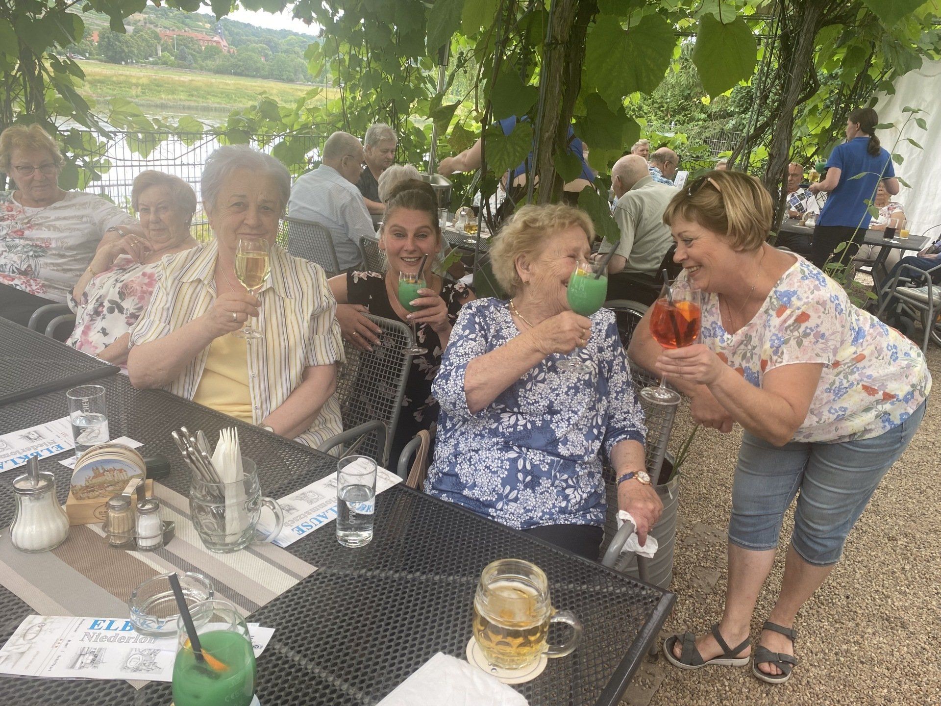 Menschen stoßen an einem Tisch im Freien unter Weinreben mit Getränken an. Einige halten Cocktails und Bier in der Hand. 
