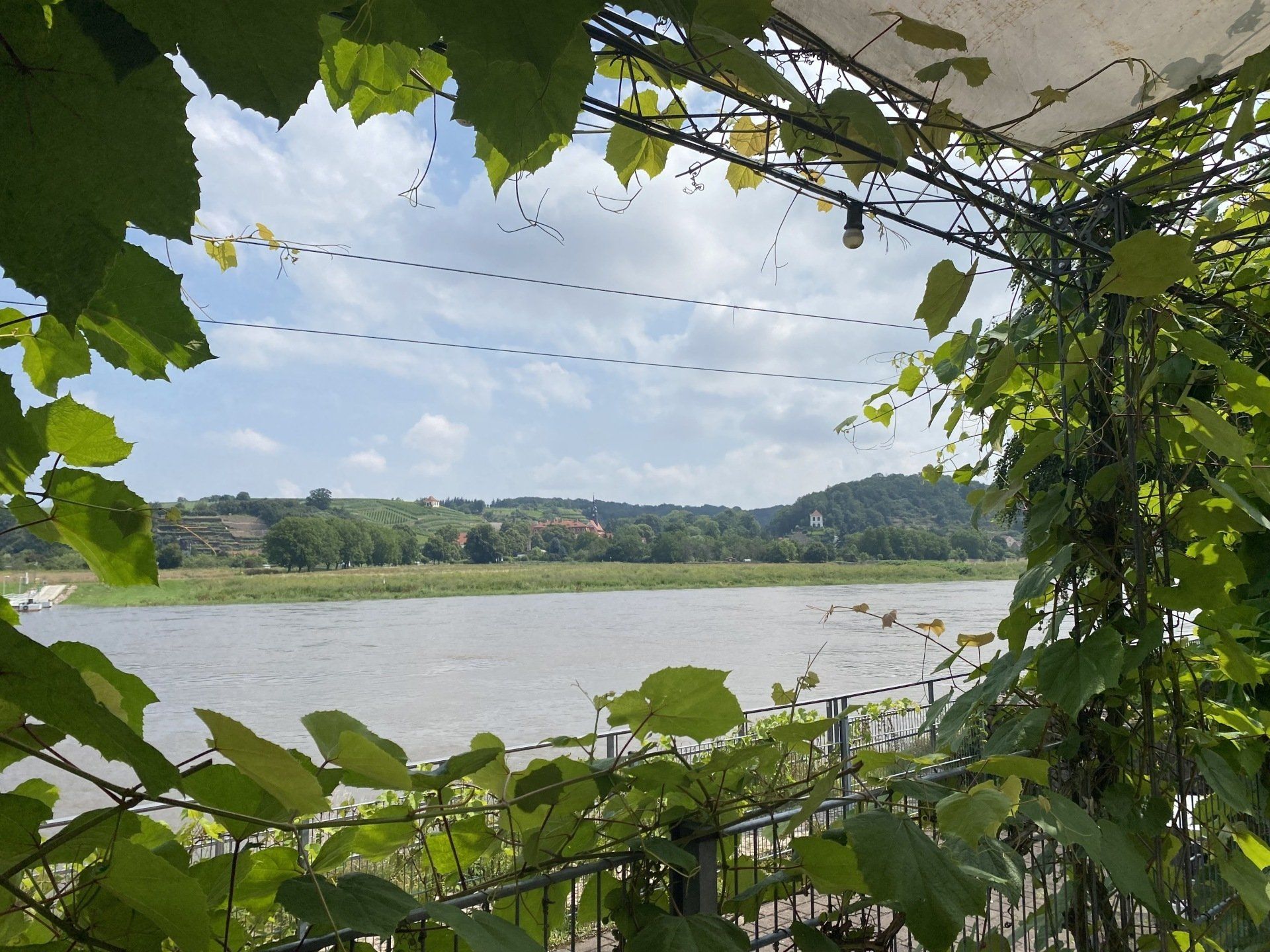 Blick auf einen Fluss und Bäume in der Ferne, eingerahmt von grünen Weinreben und einem teilweisen Dach. Bewölkter Himmel.