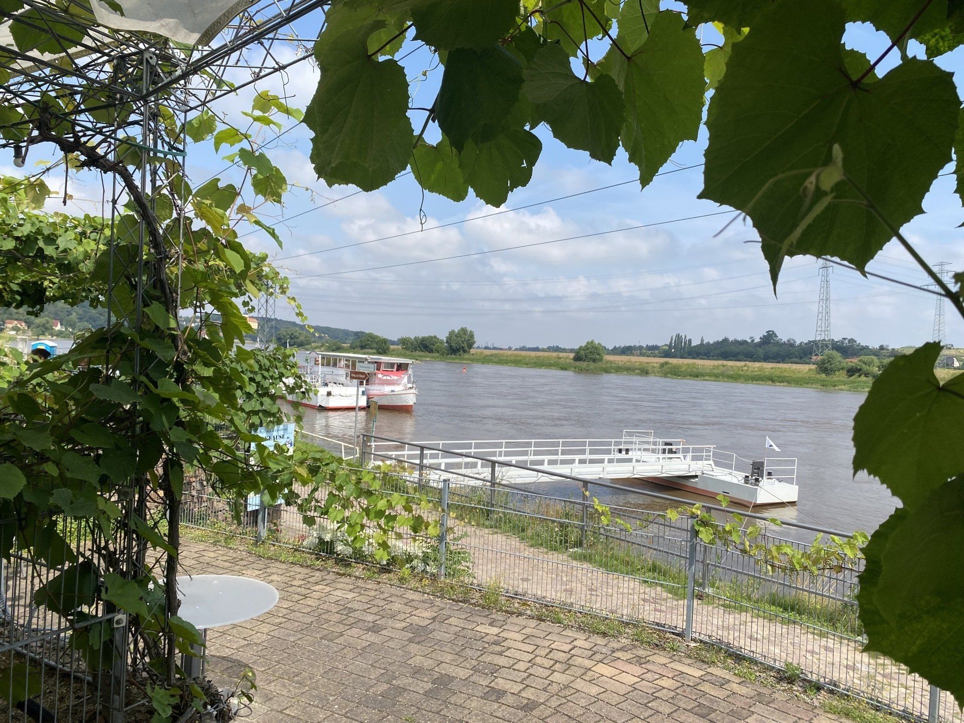 Blick auf einen Fluss mit zwei Booten, die an einem Pier anlegen, eingerahmt von Weinreben an einem sonnigen Tag.