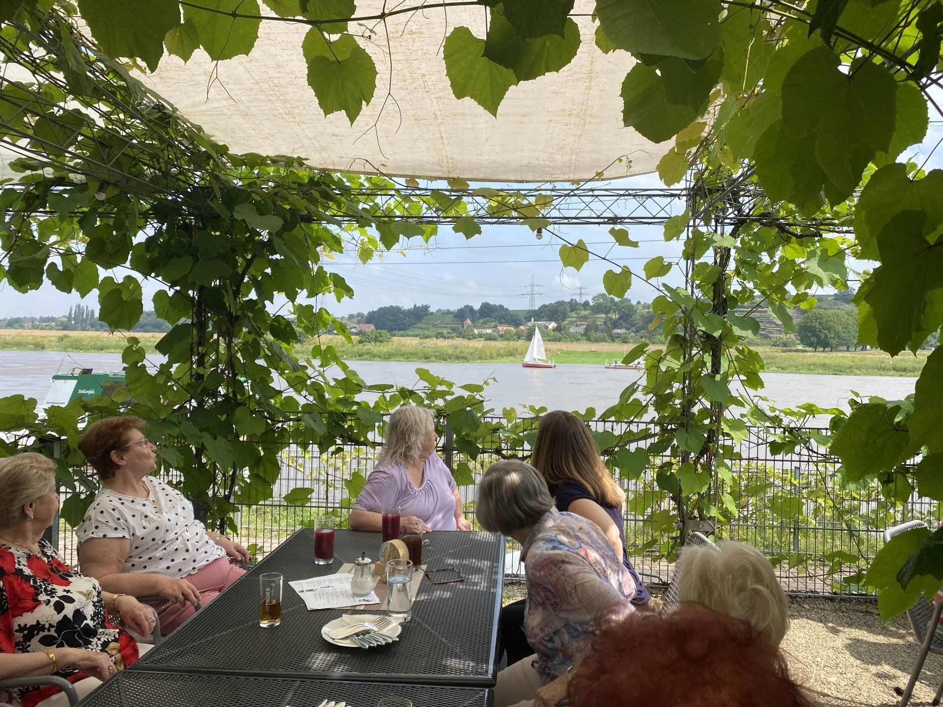 Menschen sitzen an einem Tisch unter einer weinbewachsenen Pergola mit Blick auf einen Fluss mit einem Segelboot.