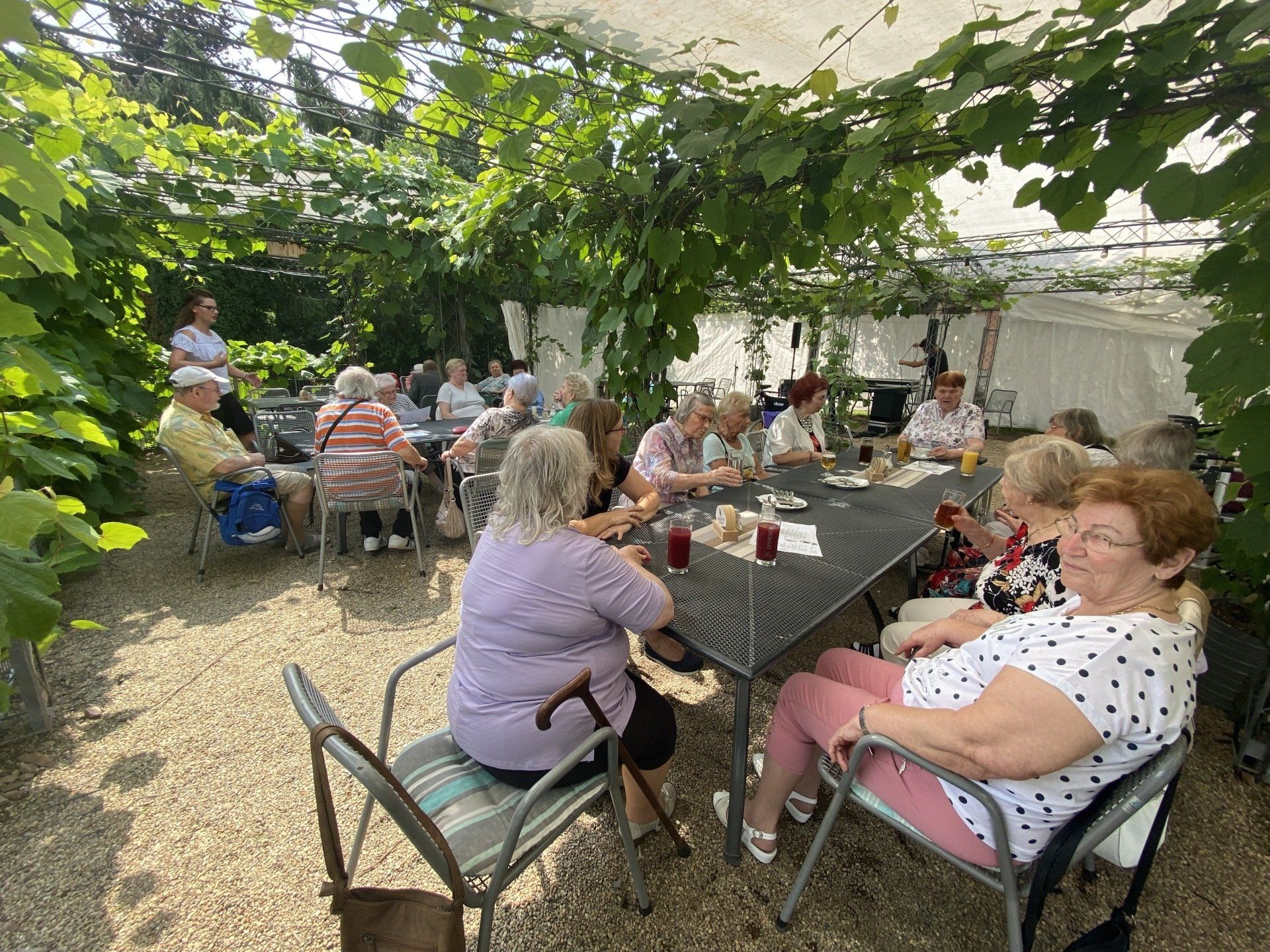 Eine Gruppe von Menschen sitzt an Tischen unter einem Blätterdach und genießt ein Treffen im Freien.
