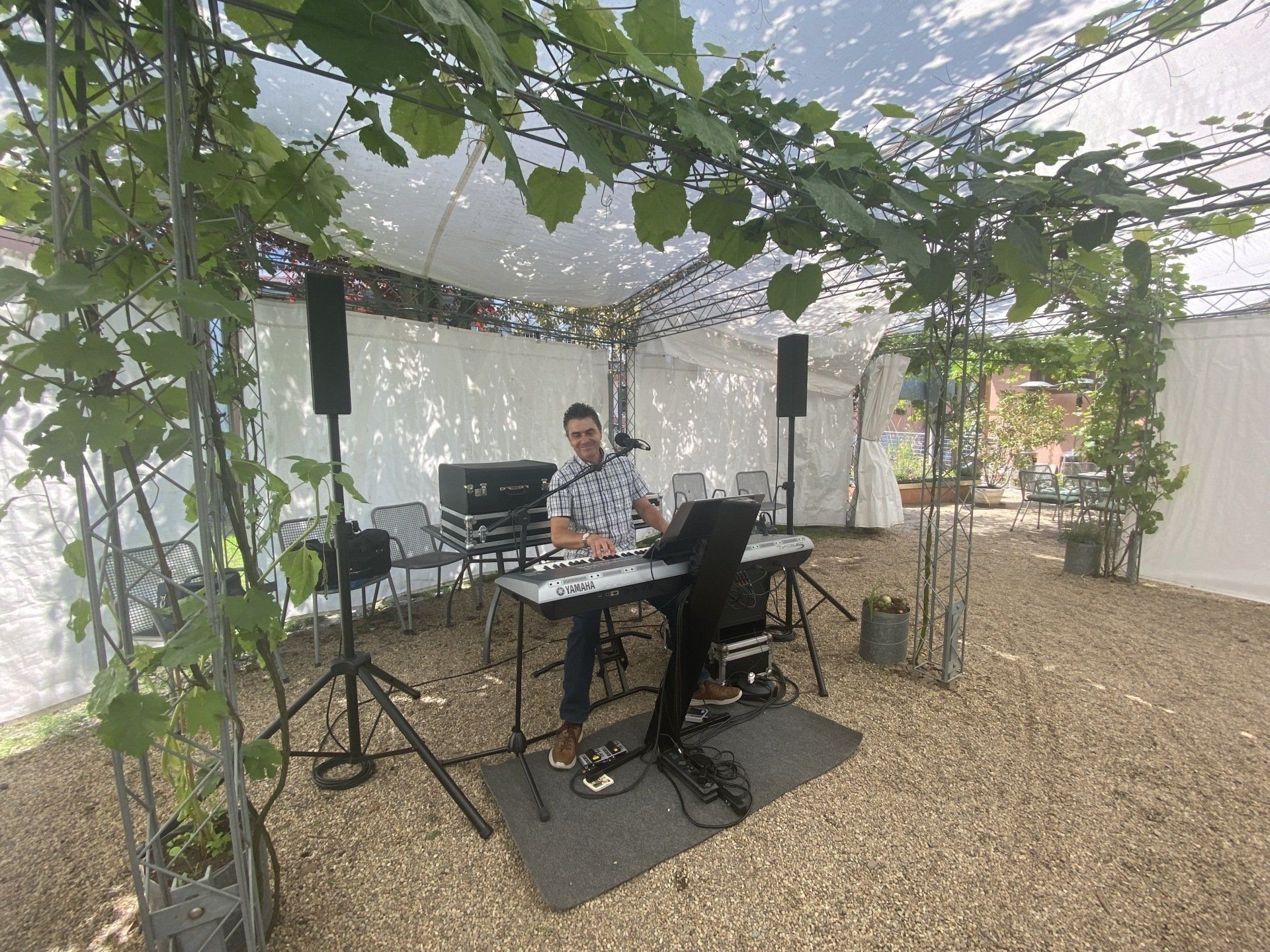 Mann spielt Keyboard unter einem weinbewachsenen Baldachin. Schwarze Lautsprecher, Geräte und Kiesboden sind sichtbar.