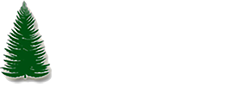 white logo copy