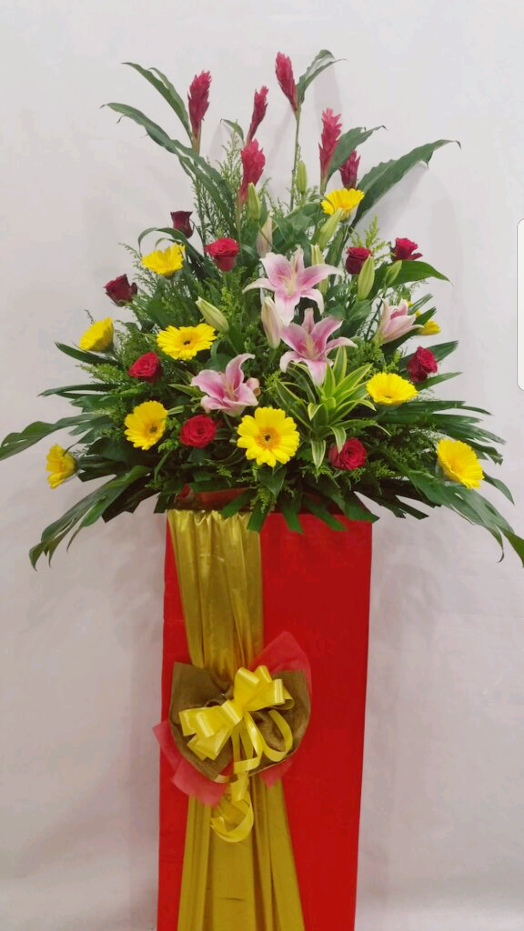 Best Wishes